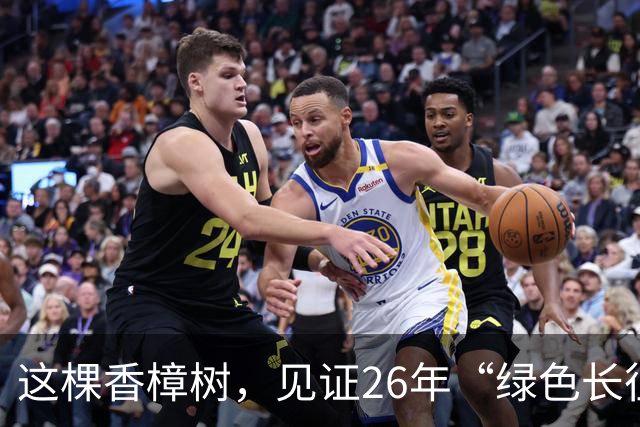 这棵香樟树，见证26年“绿色长征”